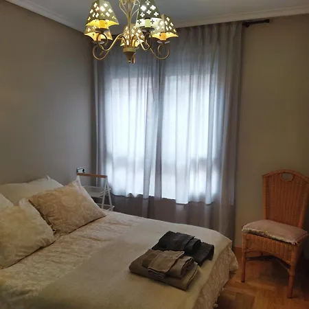 アパート Centrico Parking Y Wifi Gratuitos Admite Mascotas オビエド